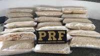 PRF apreende carga de ecstasy avaliada em R$ 5 milhões na Régis Bittencourt, em São Paulo